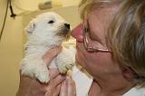 ADULTE ET CHIEN 373